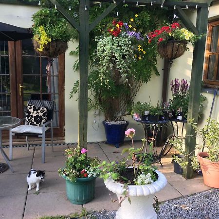The Olive Branch At The Poplars Apartment Kilgetty ภายนอก รูปภาพ