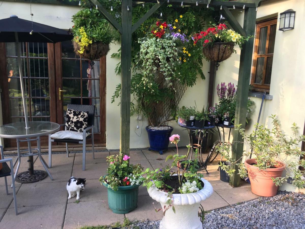 The Olive Branch At The Poplars Apartment Kilgetty ภายนอก รูปภาพ
